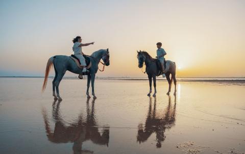  منظر الخيول الساحر مع الغروب الفاتن في شاطئ عروس البحر الأحمر 