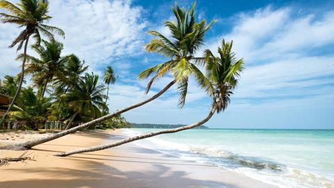 هل تعلم أنّ شواطئ ترينيداد تضاهي بسحرها شواطئ